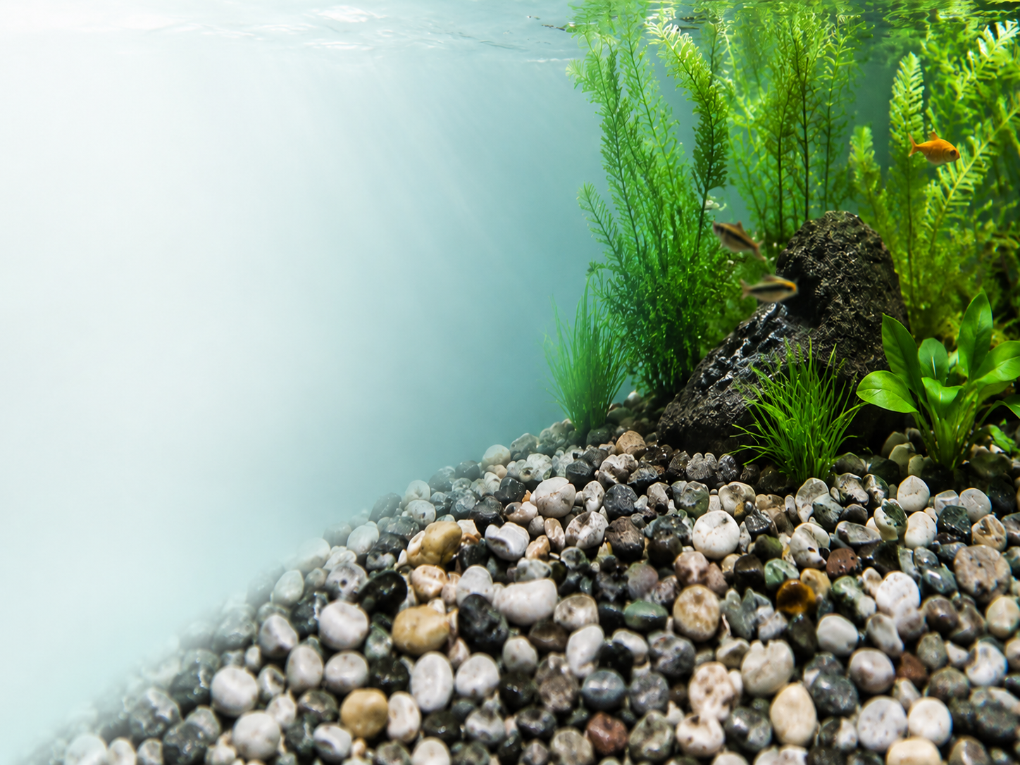 Ciottoli di fiume decorativi per acquario subacqueo con piante e pesci